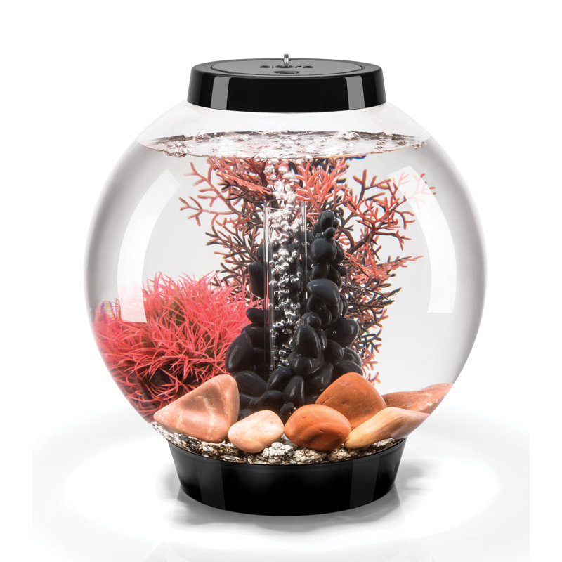BiOrb Classic 4 Gallon Round Fish Bowl Wayfair.ca